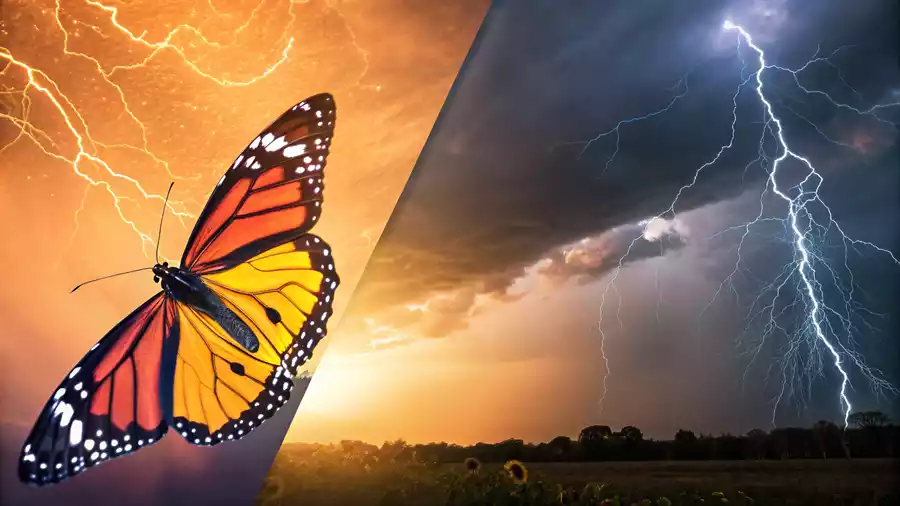 Butterfly Effect क्या है? 2025 में छोटे बदलावों का Amazing असर Discover करें