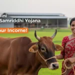 nandini krishak samriddhi yojana