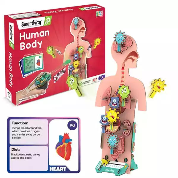 Smartivity Human Body Toy for Kids 6-12 Years|Body Organs & Functions